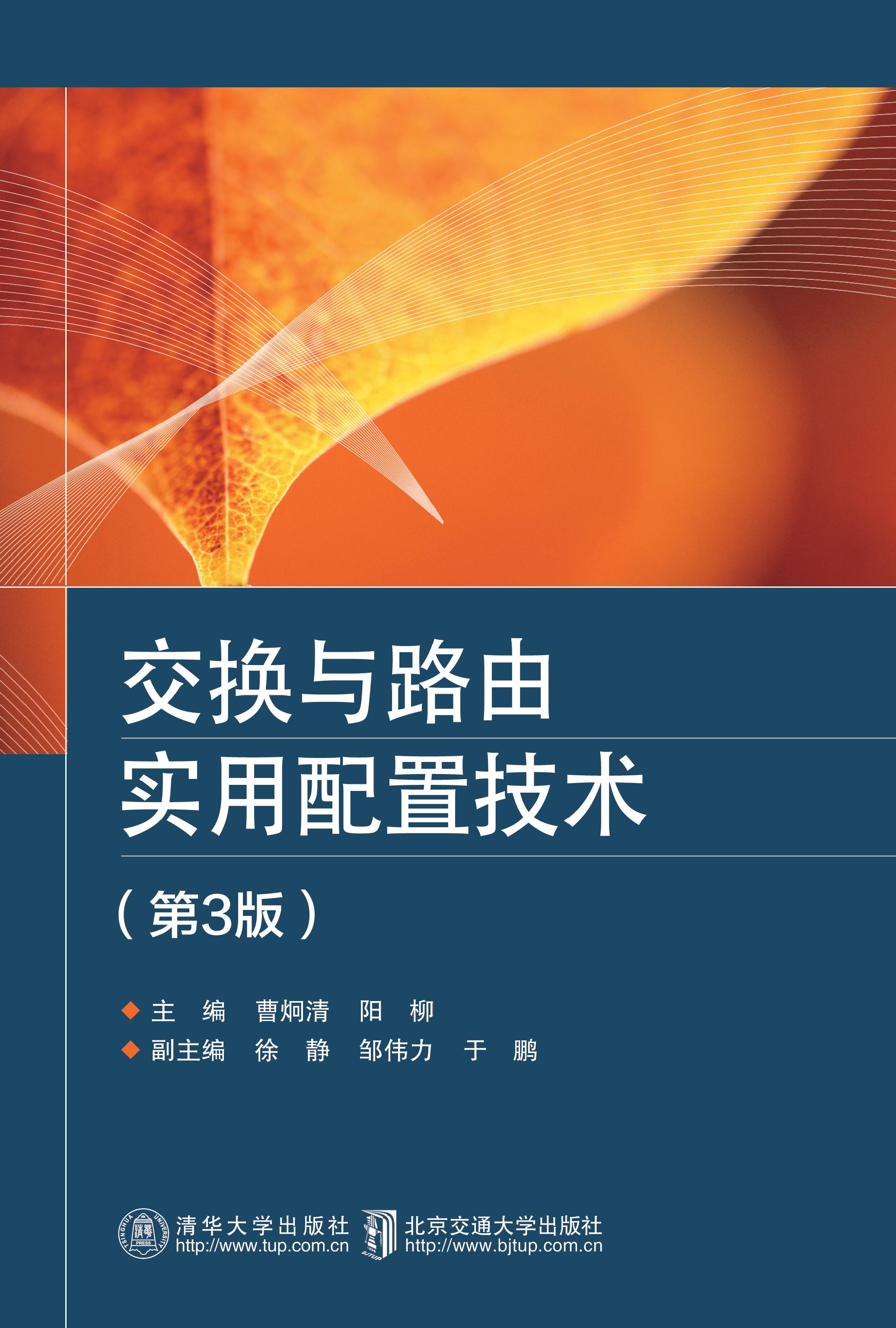 交换与路由实用配置技术（第3版）