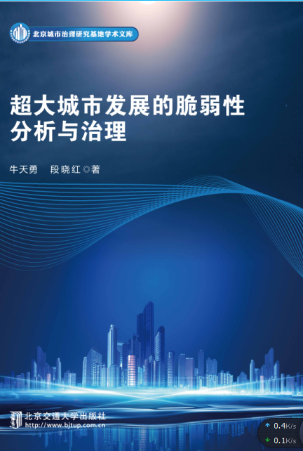 超大城市发展的脆弱性分析与治理