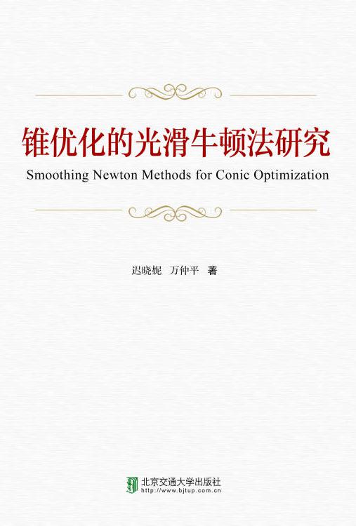锥优化的光滑牛顿法研究