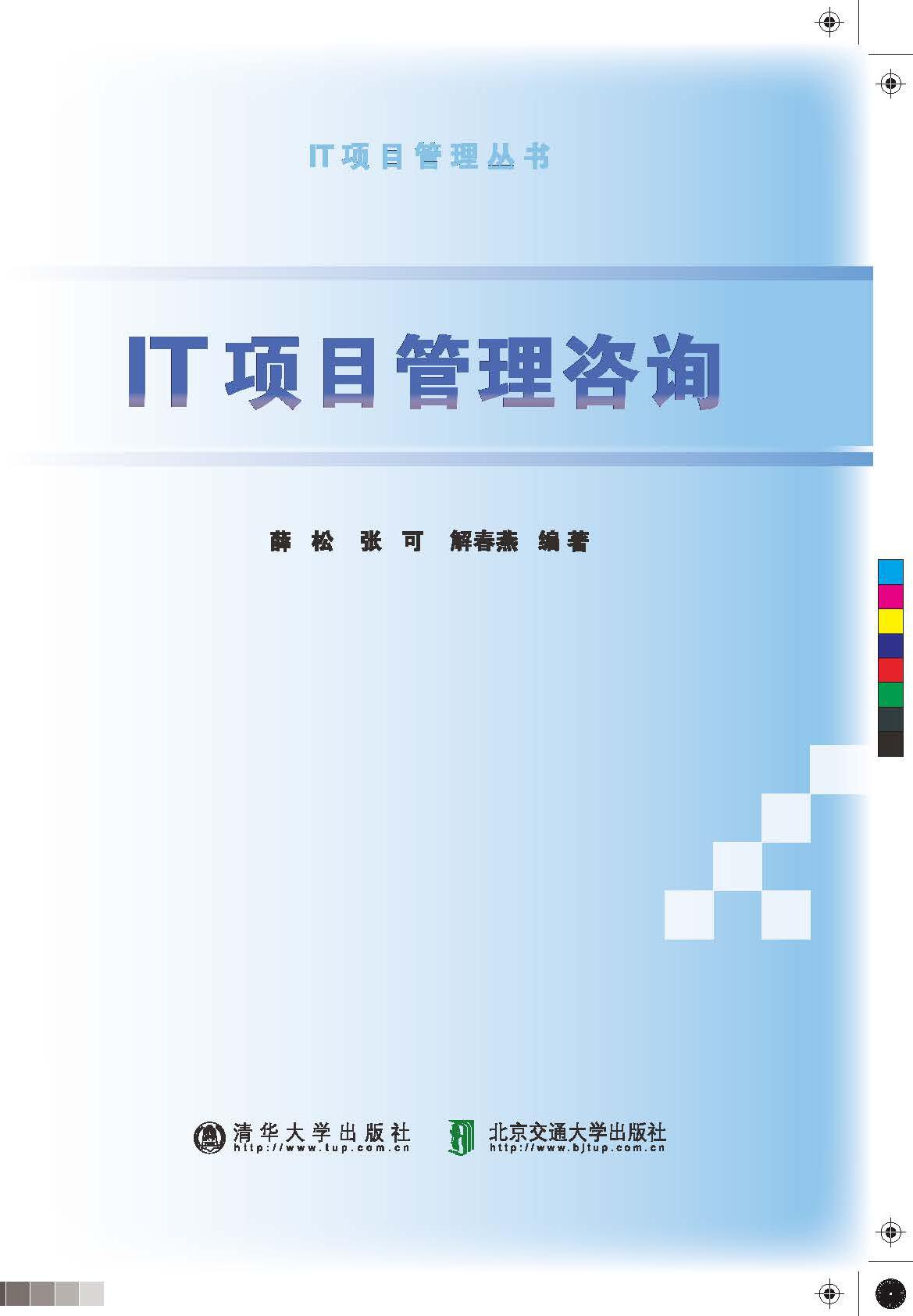 IT项目管理咨询