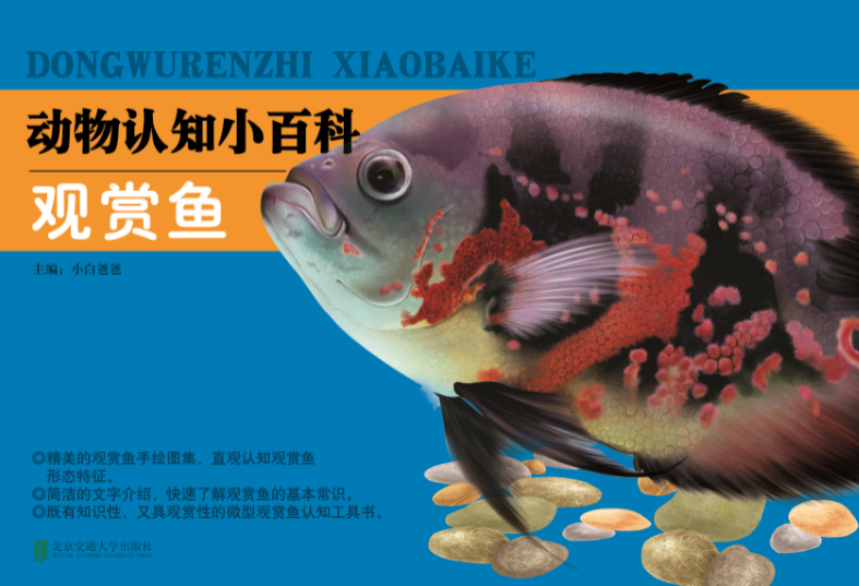 动物认知小百科  观赏鱼