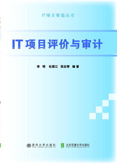IT项目评价与审计